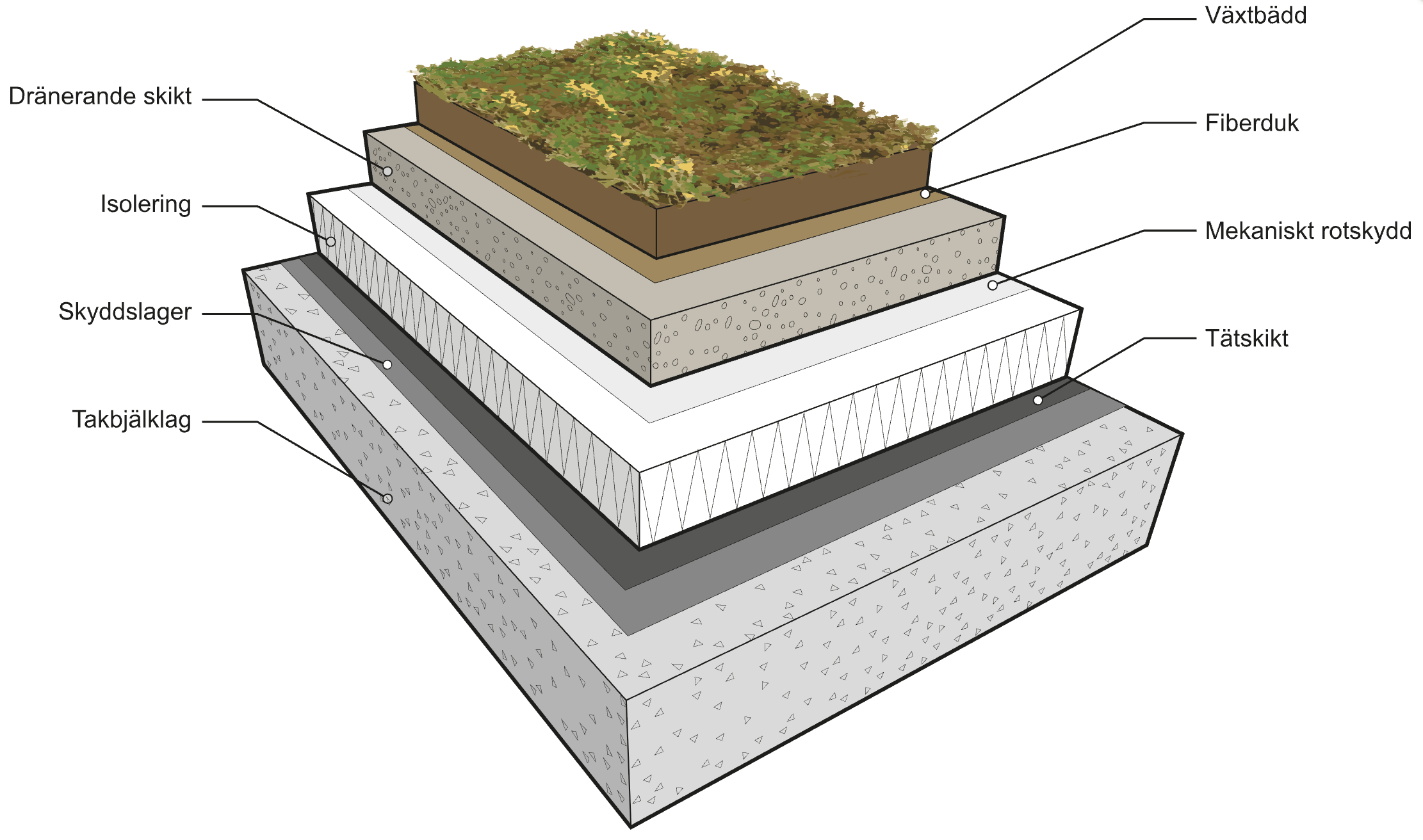 Konstruktion Sedumtak